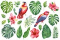 Watercolor tropical set, red parrot, hibiscus flowers, monstera leaf. Jungle flora white isolated background, hand draw Royalty Free Stock Photo