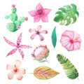 Watercolor tropical summer flowers and leaves Royalty Free Stock Photo