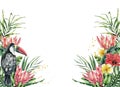 Watercolor tropical toucan and flowers banner. Hand painted bird, protea, hibiscus and plumeria isolated on white