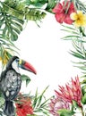 Watercolor tropical toucan and flowers card. Hand painted bird, protea, hibiscus and plumeria isolated on white Royalty Free Stock Photo