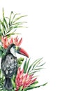 Watercolor tropical toucan and protea card. Hand painted bird and flowers isolated on white background. Nature botanical Royalty Free Stock Photo