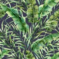 Watercolor tropical tree leaves seamless pattern. Hand painted banana and coconut greenery exotic branch on dark blue