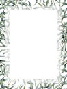 Watercolor tropical vertical frame with eucalyptus leaves. Hand painted floral illustration with branch isolated on