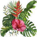 Watercolor tropical wildlife Beautiful cards. Hand Drawn jungle nature, hibiscus flowers illustration