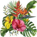 Watercolor tropical wildlife Beautiful cards. Hand Drawn jungle nature, hibiscus flowers illustration