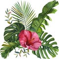 Watercolor tropical wildlife Beautiful cards. Hand Drawn jungle nature, hibiscus flowers illustration