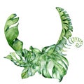 Watercolor tropical wreath with monstera, banana and palm leaves illustration