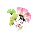 Watercolor tulip bouquet. Big pink flower with ginkgo leaves and berries isolated on white. Hand painted artwork with x