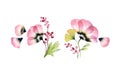 Watercolor tulip bouquets. Set of botanical illustrations. Big pink flower with ginkgo leaves and flying petals. Hand Royalty Free Stock Photo