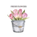 Watercolor Tulip Floral Bouquet Painting. Spring Fresh Pink Flowers, Isolated. Hand Painted Flower Arrangement Illustration