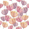 Watercolor tulip heads. Pink flowers. Romantic style seamless pattern. Flourish background. Pattern for textile print, wedding