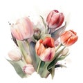 Watercolor Tulips Bouquet on White Background. A Stunning Artistic Creation. Generated AI.