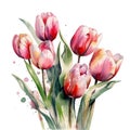 Watercolor Tulips Bouquet on White Background. A Stunning Artistic Creation. Generated AI.