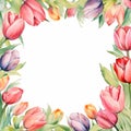 Watercolor tulips frame Royalty Free Stock Photo