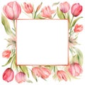 Watercolor tulips frame Royalty Free Stock Photo