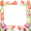 Watercolor tulips frame Royalty Free Stock Photo
