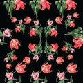 Watercolor tulips pattern