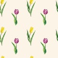 Watercolor tulips seamless pattern. Purple and yellow tulip flowers on pink background. Spring botanical repet print. Hand drawn