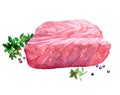 Watercolor Tuna fish sliced isolated on a white background