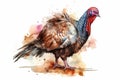 Watercolor turkey illustration on white background