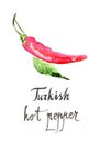 Watercolor turkish hot pepper