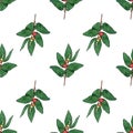 watercolor twig small green leaves with red berries seamless pattern on white background. Holly december merry christmas. Green