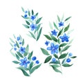 Watercolor twigs with blue flowers
