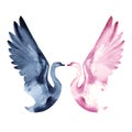 Watercolor two swans, valentines day, love, romance. Ballet Swan lake. Royalty Free Stock Photo