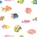 Watercolor under sea, seamless pattern. Fishes. Royalty Free Stock Photo