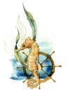 Watercolor underwater card with seahorse. Hand painted composition with wheel and golden laminaria isolated on white