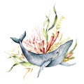 Watercolor underwater composition of whale, red corals and laminaria. Hand painted illustration isolated on white