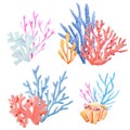 Watercolor underwater corals