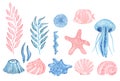 Watercolor Underwater creatures. Sea Urchin, fish, sea shells, Sea star, Jelly fish, algae, corals and stones