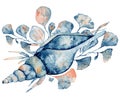 Watercolor underwater floral bouquet with corals and shells, hand drawn illustration