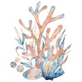 Watercolor underwater floral bouquet with corals and shells, hand drawn illustration