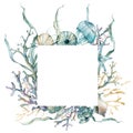 Watercolor underwater frame of jellyfish, shells, laminaria and gold corals. Tropical animals and plant isolated on