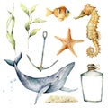 Watercolor underwater set. Hand painted whale, laminaria, anchor, starfish, seahorse and bottle isolated on white