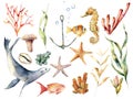 Watercolor underwater wildlife set. Hand painted coral reef, sea lion, tropical fish, anchor, seahorse and laminaria