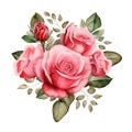 Watercolor Valentine Clipart pink roses. Ai Generate