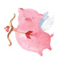 Watercolor Valentine's day pig. Piglet with Cupid bow.