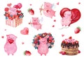 Watercolor Valentine\'s day pigs. Collage of pink piglets. Many festive piglets for valentine\'s day