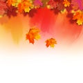 Autumn Vector Watercolor Fall Leaves Royalty Free Stock Photo