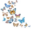 Watercolor vector butterflies