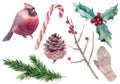 Watercolor vector Christmas set with floral elements and bird cardinal Royalty Free Stock Photo