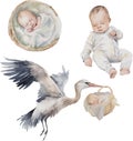 Watercolor vector cute baby shower set of babies, stork, isolated on white background.