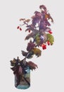 Watercolor vector drawing of autumn branch hawthorn with ripe berries in glass jar Royalty Free Stock Photo