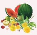 Watercolor vector drawing of still life with ripe watermelon, fruits and yellow flowers Royalty Free Stock Photo