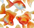 Watercolor vector frame with hand drawn goldfishes Royalty Free Stock Photo