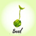 Watercolor vector green natural seed. EPS10