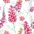 Watercolor vector grevillea pattern Royalty Free Stock Photo